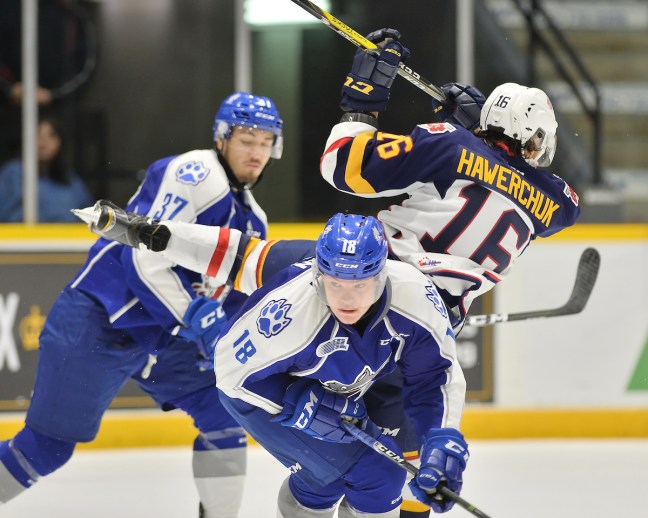 Macauley Carson of the Sudbury Wolves. Photo by Terry Wilson / OHL Images.