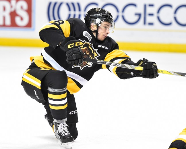 Marian Studenic of the Hamilton Bulldogs. Photo by Aaron Bell/OHL Images