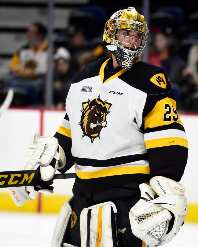 Nick Donofrio of the Hamilton Bulldogs. Photo by Aaron Bell/OHL Images