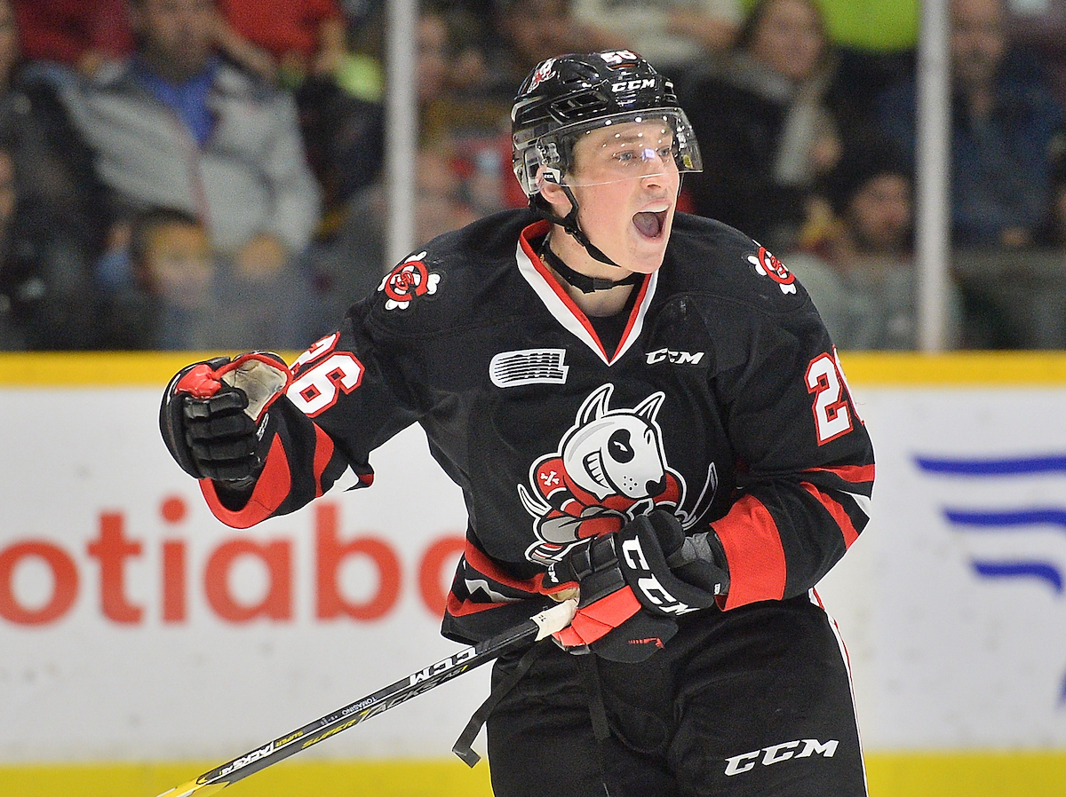Philip Tomasino of the Niagara IceDogs. Photo by Terry Wilson / OHL Images.