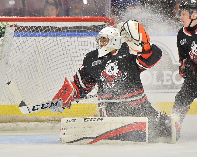 Tucker Tynan of the Niagara IceDogs. Photo by Terry Wilson / OHL Images.